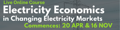 Electricity Economics in Changing Electricity Mark